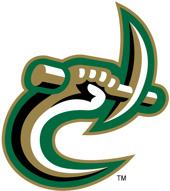 Charlotte 49ers 1998-Pres Secondary Logo iron on transfers for fabric